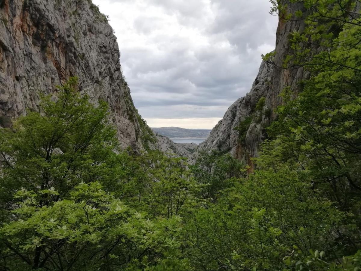 Green Point Paklenica Starigrad Paklenica Ngoại thất bức ảnh